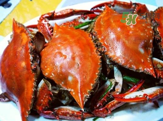 梭子蟹可以煮嗎？梭子蟹怎么煮？