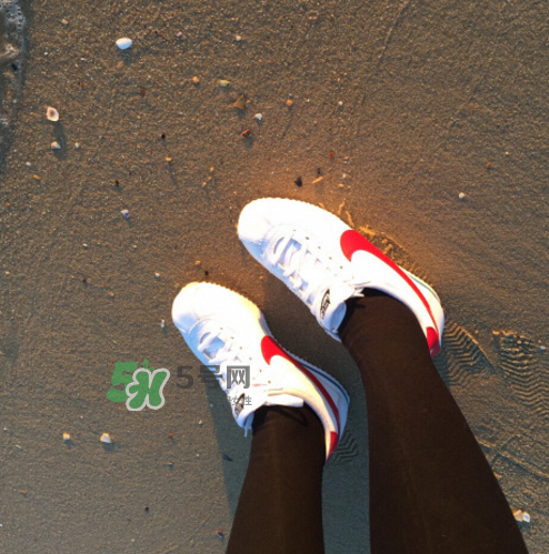nike cortez jewel皮革版多少錢？耐克阿甘鞋皮革款價(jià)格