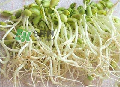 豆芽是發(fā)物嗎？豆芽能見陽光嗎