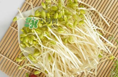 豆芽怎么保存？新鮮豆芽放冰箱能放幾天？