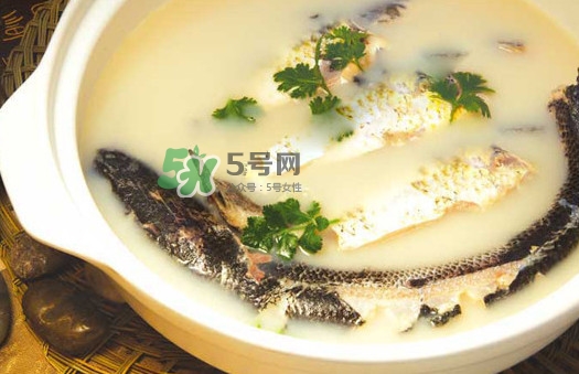 黃蜂魚怎么煮好吃？黃蜂魚燉湯孕婦可以喝嗎