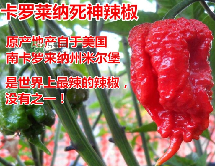 死神辣條哪兒有賣？哪里可以買到死神辣條