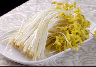 豆芽有綠葉還能吃嗎？豆芽有點(diǎn)爛了還能吃嗎