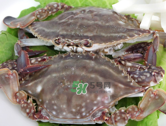梭子蟹為什么這么貴？梭子蟹和大閘蟹哪個(gè)貴？