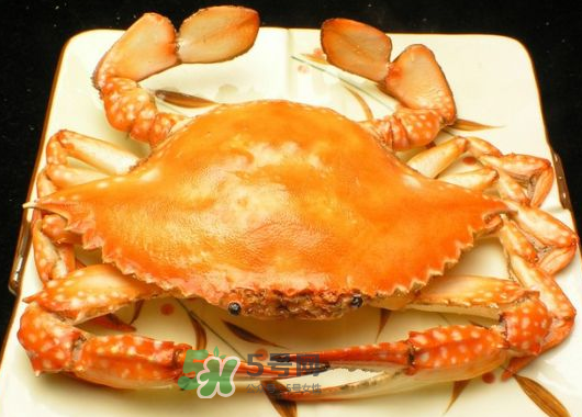 飛蟹什么時(shí)候最肥？飛蟹幾月份最肥？