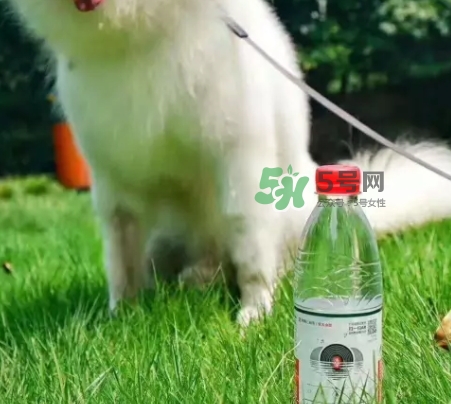 網(wǎng)易云音樂(lè)農(nóng)夫山泉樂(lè)瓶怎么玩？云音樂(lè)農(nóng)夫山泉玩法