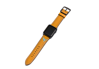 coach apple watch恐龍表帶多少錢？蔻馳蘋果手表恐龍表帶價(jià)格