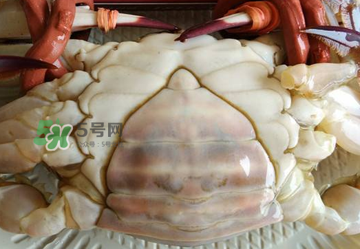 飛蟹多少錢一斤？飛蟹多少錢一斤2017？