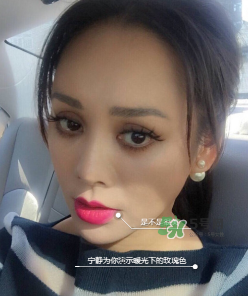 ysl208是什么顏色？ysl208適合黃皮嗎？