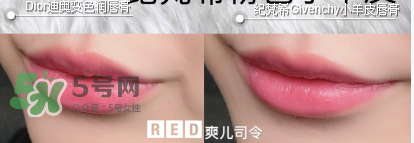 紀(jì)梵希變色唇膏和迪奧變色唇膏哪個(gè)好_怎么選？