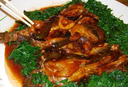 河豚魚(yú)怎么吃？河豚魚(yú)怎么去毒