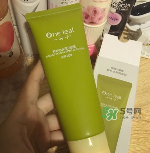 一葉子鮮補水洗面奶怎么樣？一葉子鮮補水潔面乳好用嗎？