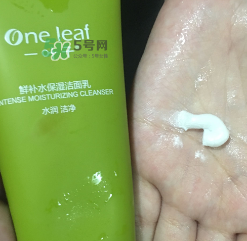 一葉子鮮補水洗面奶怎么樣？一葉子鮮補水潔面乳好用嗎？