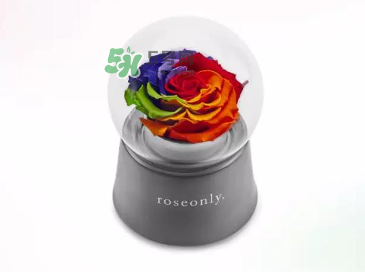 roseonly音樂盒多少錢？roseonly音樂盒歌曲名