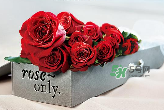roseonly永生花可以保存多久？roseonly永生花保養(yǎng)