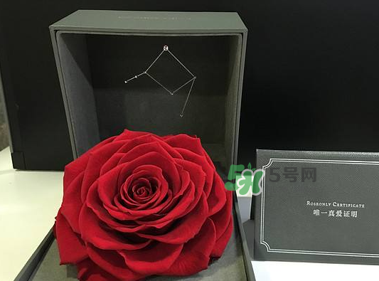roseonly永生花可以保存多久？roseonly永生花保養(yǎng)