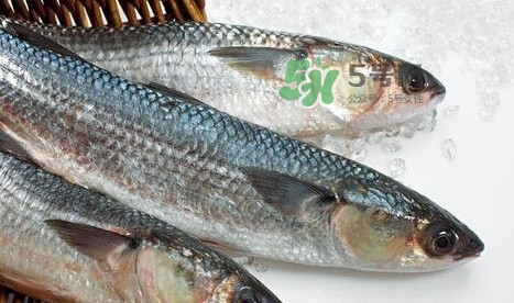 鰣魚多少錢一斤？長江鰣魚多少錢一斤2017