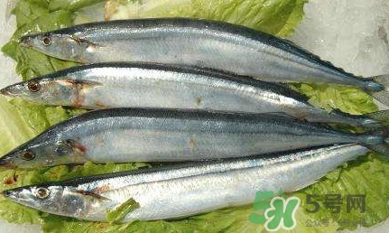 鰣魚和刀魚哪個貴？長江三鮮哪個最貴