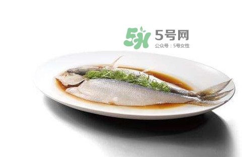 鰣魚刺多嗎？鰣魚可以養(yǎng)殖嗎