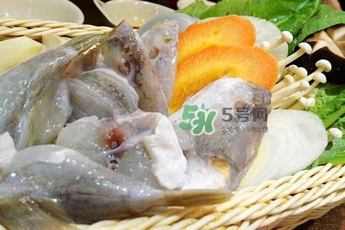 河豚可以當(dāng)寵物養(yǎng)嗎？河豚可以用淡水養(yǎng)嗎