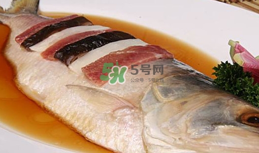 鰣魚多少錢一斤？長江鰣魚多少錢一斤2017