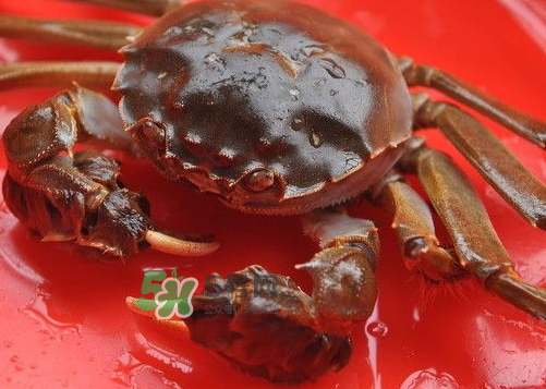 大閘蟹可以帶上高鐵嗎？坐高鐵可以帶大閘蟹嗎？