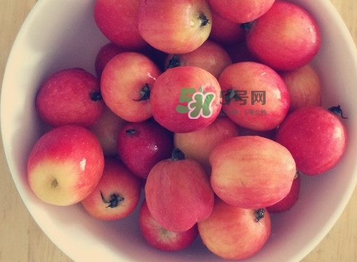 海棠果是涼性的嗎？海棠果是熱性還是涼性