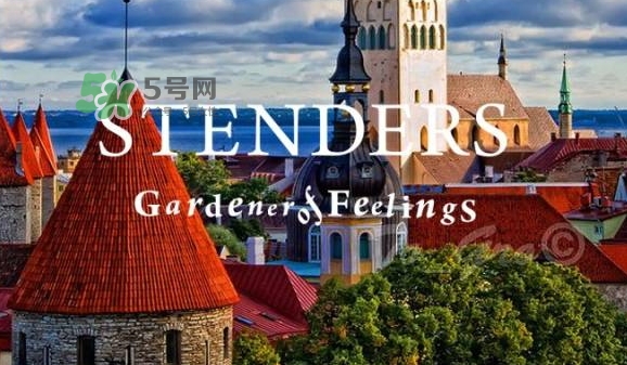 施丹蘭孕婦可以用嗎？stenders施丹蘭懷孕可以用嗎