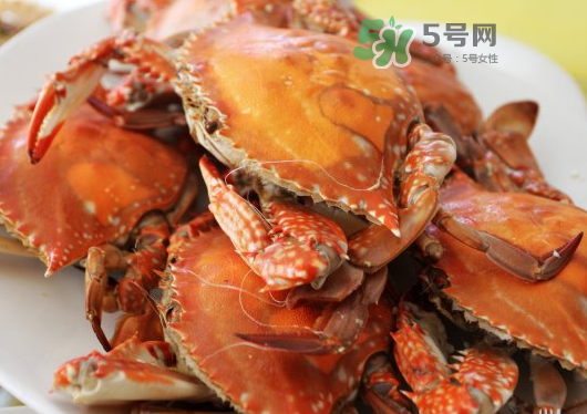 梭子蟹蒸熟后如何保存？梭子蟹煮熟后如何保存？