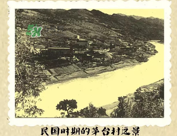 茅臺(tái)酒為什么那么貴？茅臺(tái)酒為什么這么貴