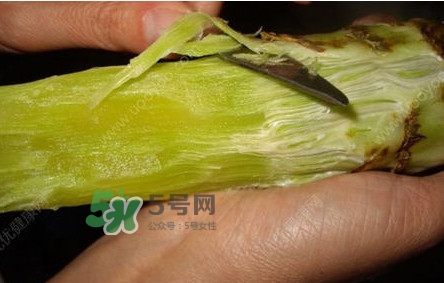 青筍怎么處理？青筍怎么切成菱形