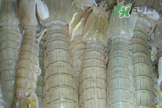 蝦蛄怎么讀？蝦蛄多少錢一斤