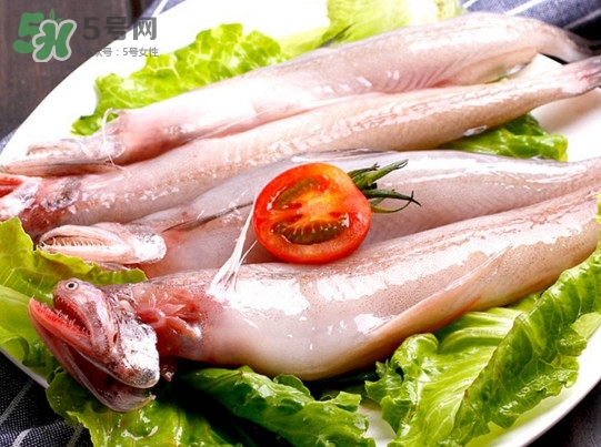 龍頭魚是海魚嗎？龍頭魚是海鮮嗎