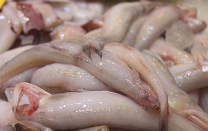 龍頭魚怎么做好吃？龍頭魚干怎么做好吃