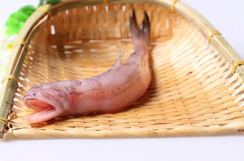 龍頭魚怎么做好吃？龍頭魚干怎么做好吃