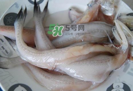 龍頭魚怎么殺？龍頭魚怎么處理？