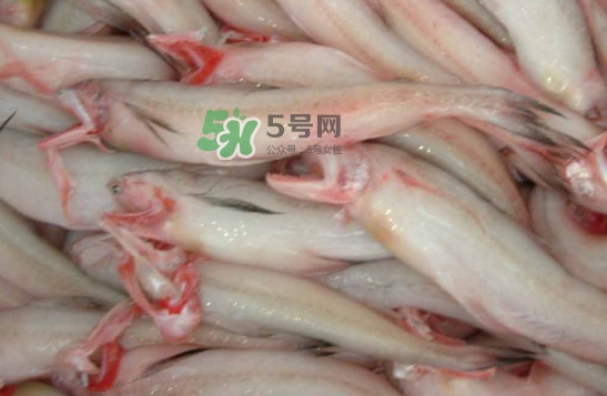 龍頭魚怎么炸？龍頭魚怎么做湯