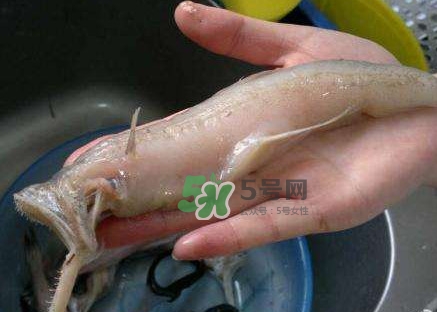 水潺湯怎么做？水潺燉豆腐的做法