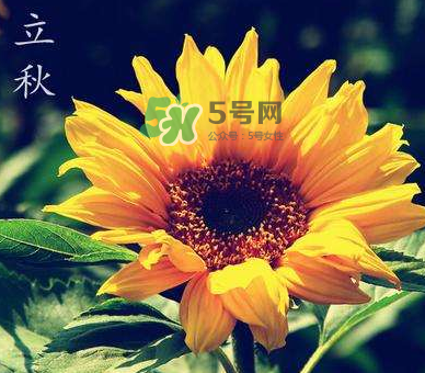 立秋后是不是早晚天氣涼？立秋后天氣有什么變化？