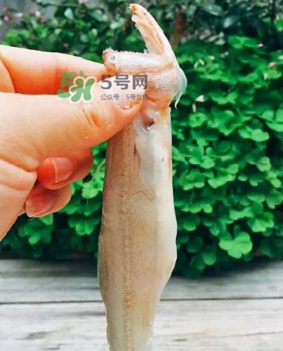 水潺怎么讀？水潺是海鮮嗎
