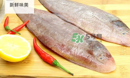 龍利魚多少錢一斤？龍利魚是什么魚