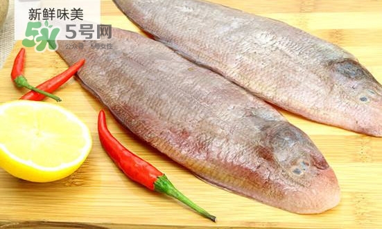 龍利魚怎么挑選？龍利魚與越南巴沙魚的區(qū)別
