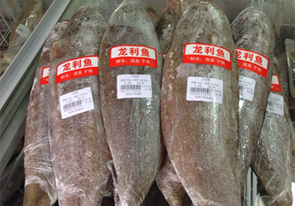 龍利魚怎么挑選？龍利魚與越南巴沙魚的區(qū)別