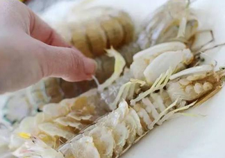 蝦蛄怎么讀？蝦蛄多少錢一斤