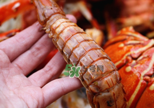 蝦蛄怎么吃？蝦蛄怎么做好吃？