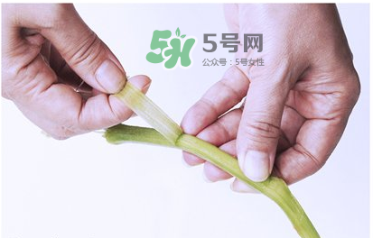 南瓜苗怎么做好吃？南瓜苗怎么撕？