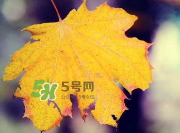 立秋后吃什么好？立秋后怎么養(yǎng)生？