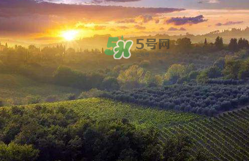 立秋后吃什么好？立秋后怎么養(yǎng)生？