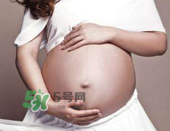 四維彩超的最佳時間 四維彩超什么時候做最好？
