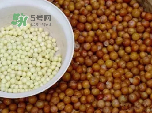雞頭米有什么營養(yǎng)價值？雞頭米的功效與作用